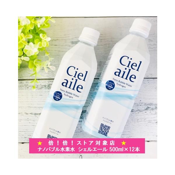 水 ナノバブル水素水 500ml 2ケース 12本 国内 ミネラル