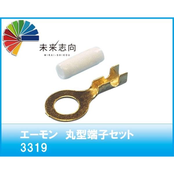 G[HƁ@ی^[qZbg@iԁF3319