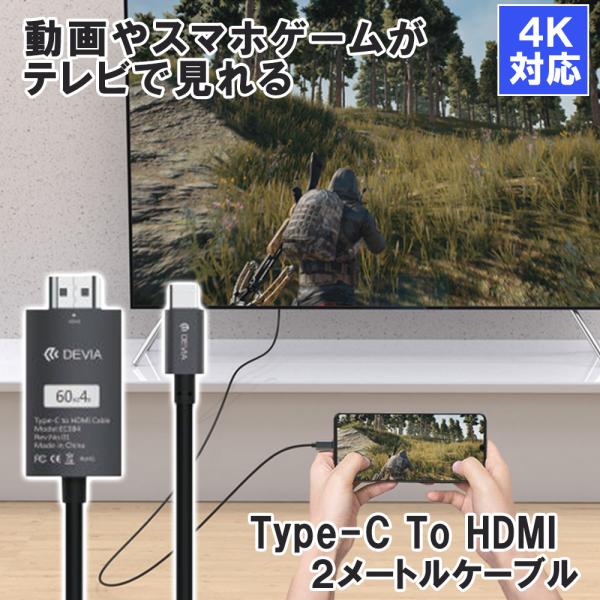 HDMI USB Type-C 変換 ケーブル コネクタ ミラーリング 出力 パソコン スマホ タブレット テレビ モニター 接続 高画質 リモート ワーク 在宅 / Storm Series Hd