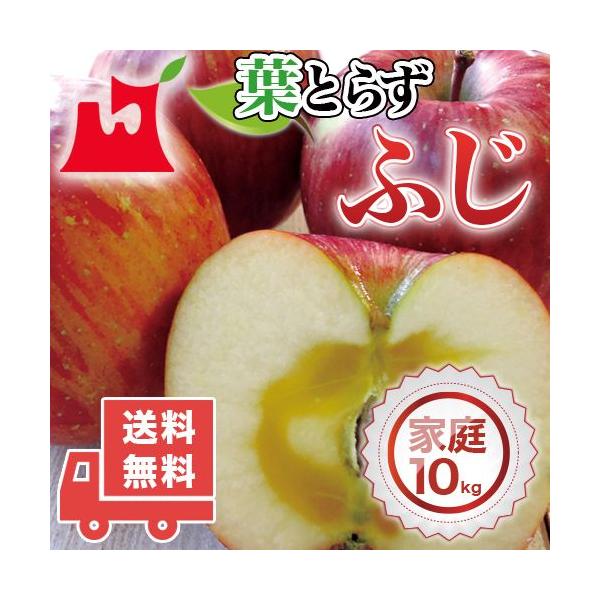 XY tƂ炸 ӂ ƒp 10kg lC̖󂠂胊S XY 󂠂 Tӂ