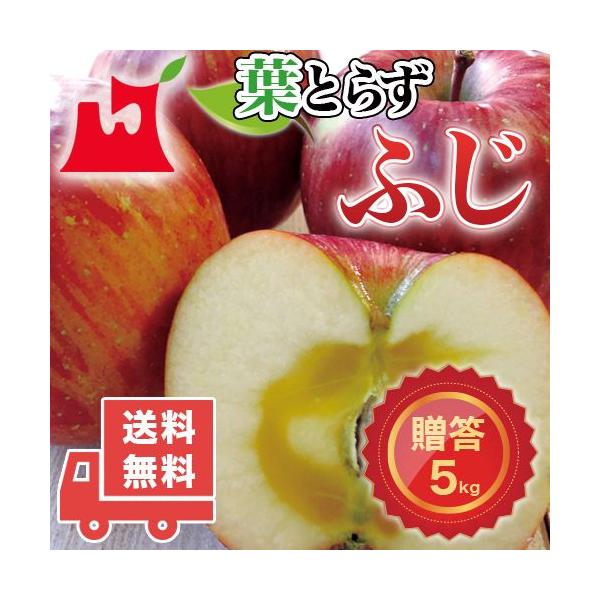 XY tƂ炸 ӂ p 5kg (14`18) v~AS MtgɍœK XY Tӂ