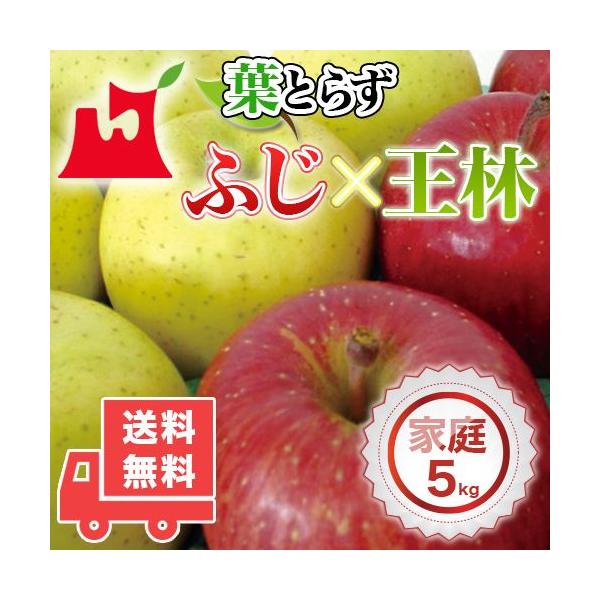 XY tƂ炸 ӂEуZbg ƒp 5kg (14`18) lC̖󂠂胊S XY 󂠂 Tӂ 