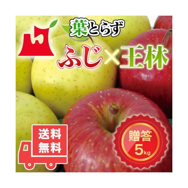 XY tƂ炸 ӂE p 5kg (14`18) v~AS MtgɍœK XY Tӂ 