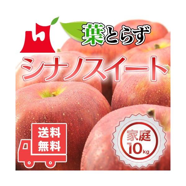XY tƂ炸 VimXC[g ƒp10kg (28`40) lC̖󂠂胊S  [YnEs]