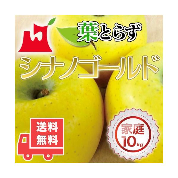 XY tƂ炸 VimS[h ƒp10kg (28`36) lC̖󂠂胊S XY 󂠂
