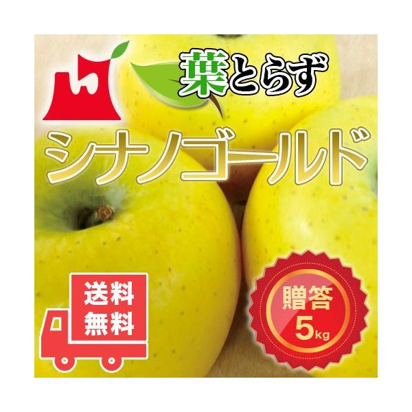 yzXY tƂ炸 VimS[h p5kg (14`18) v~AS MtgɍœK XY