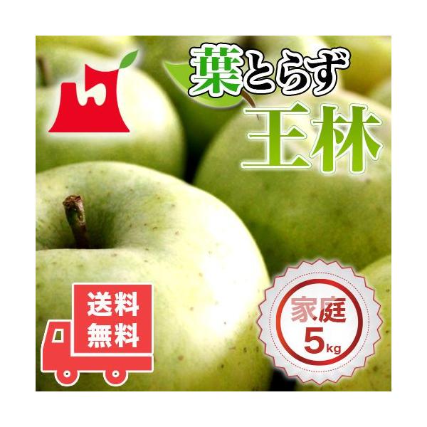 yzXY tƂ炸  ƒp5kg (14`18) tƂ炸 lC̖󂠂胊S  [YnEs]