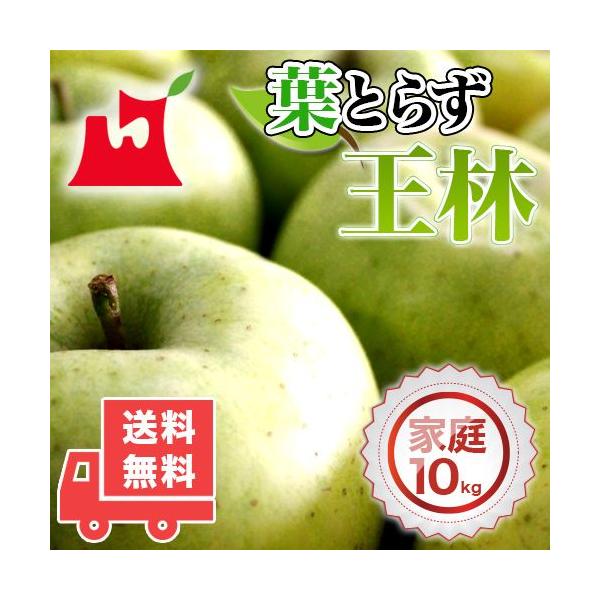 XY tƂ炸  ƒp10kg (28`40) lC̖󂠂胊S [YnEs]