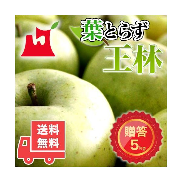XY tƂ炸  p5kg (14`18) MtgɍœK [YnEs]