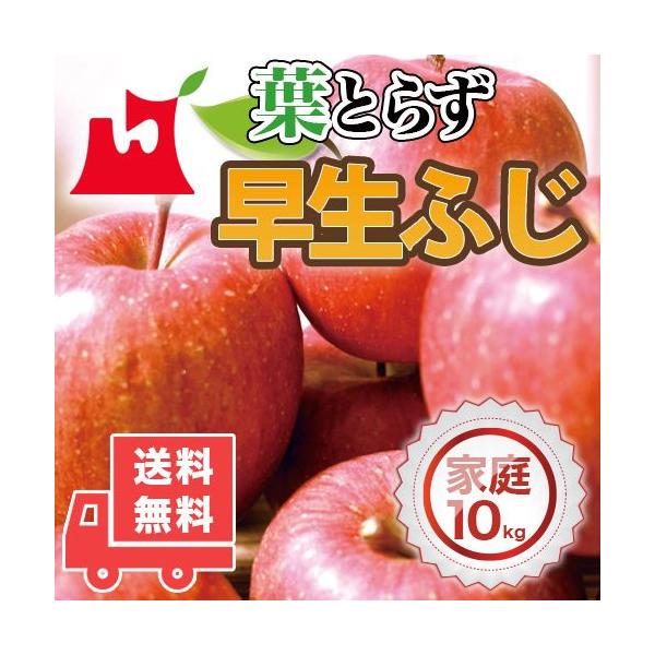 専用10キロ　ふじ，シナノ 楽天市場】【激安☆大人気】青森 りんご 加工用 10kg箱 送料無料