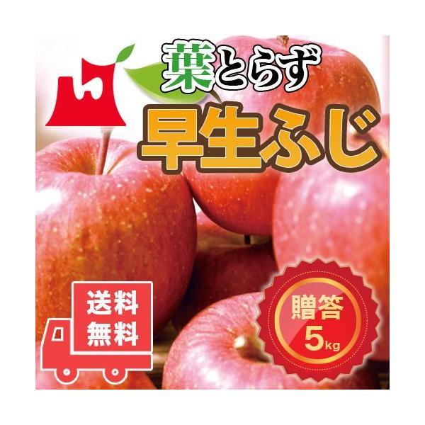 A級品ふじ/シナノゴールド割合おまかせ詰合せ10kg（10キロ）ダンボール詰 A級品ふじ/シナノゴールド割合おまかせ詰合せ10kg（10キロ