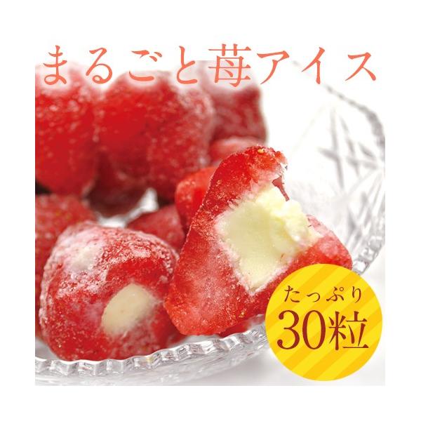 @܂邲䕃ACX 30 @ACX@ACX@C`S@@