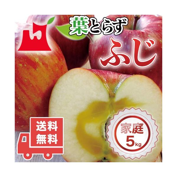 XY tƂ炸 ӂ ƒp 5kg lC̖󂠂胊S XY 󂠂 Tӂ