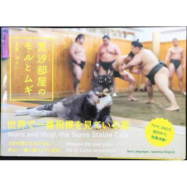 荒汐部屋のモルとムギ