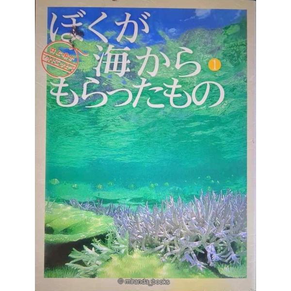 ぼくが海からもらったもの 1: 井上慎也フォトエッセイ (スマイル・ブックス 1)