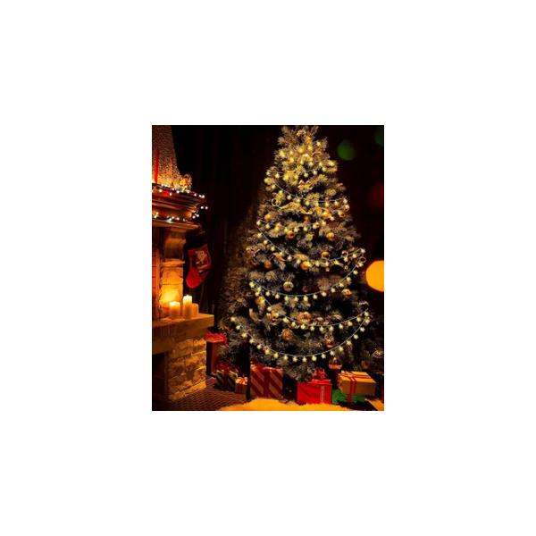 コンセント不要！電気配線不要！ 電池式なので、持ち運び安く、外出中でも使用可能です！ クリスマスやプライベートパーティーにご自宅の装節として素晴らしい！星型×雪形  1.5m 10LED星型×ツリー型 1.5m 10LED※星型×雪形 3....