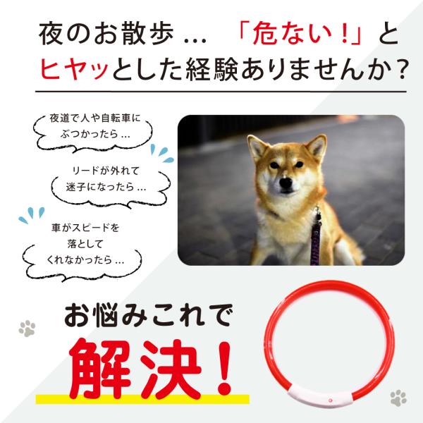 犬 首輪 光る カラー ペット 猫 小型 ライト 流行 充電式 大型 Led 中型