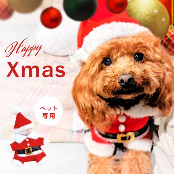 犬服  ラグラン(Ｌ)   ꒡̈⃝Lily꒡̈⃝ハンドメイド   クリスマスカラー 犬服 ラグラン(L) ꒡̈⃝Lily꒡̈⃝ハンドメイド クリスマス