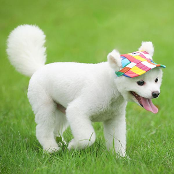 ペット用 犬用 帽子 ハット ドッグハット リボン 熱中症対策 夏バテ 日射病 防止 予防 日除け 日よけ 小型犬 P 01 Mirise Mirai 通販 Yahoo ショッピング