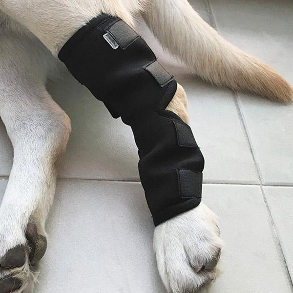 犬用 関節プロテクター 膝サポーター ショットタイプ 固定 在宅ケア リハビリ 包帯 犬骨折治療 介護用品 シニア 肘当て 床ずれ 老犬 P 01 Mirise Mirai 通販 Yahoo ショッピング