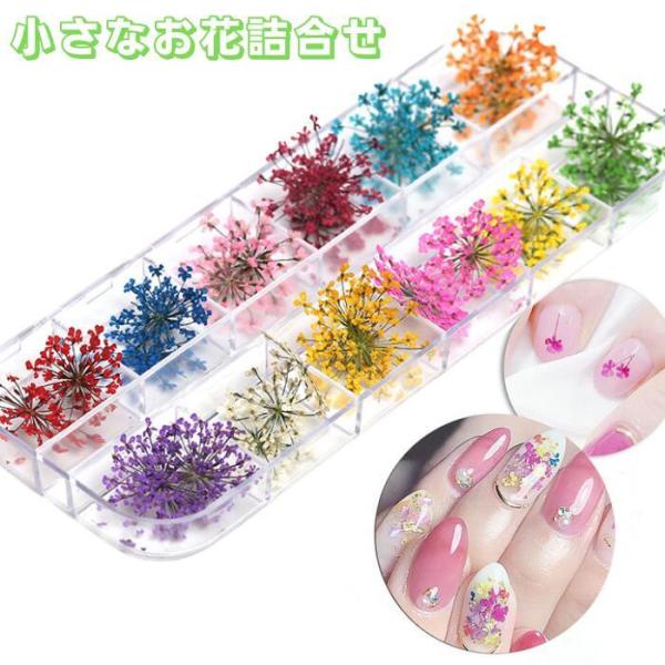 サイズ ケースサイズ約13.0ｃｍ×5.0ｃｍ素材 ドライフラワー　商品説明 ネイル ハーバリウム、リース、レジン封入に人気のドライフラワー　そのままでも、細かくちぎって使っても華やかでかわいらしい作品に仕上がります商品について ※商品の品...