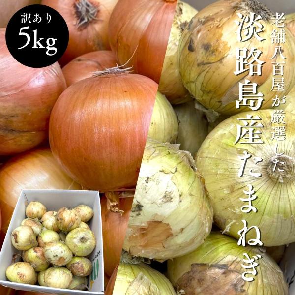 ・商品説明※収穫時期によってお送りする玉ねぎが異なります。通常の玉ねぎの収穫が終わり次第（4月末ごろ）、順に新玉ねぎに全て切り替わります。期間は8月末ごろまでの予定です。こちらも収穫終わり次第、通常の玉ねぎに切り替わります。瀬戸内の恵みで育...