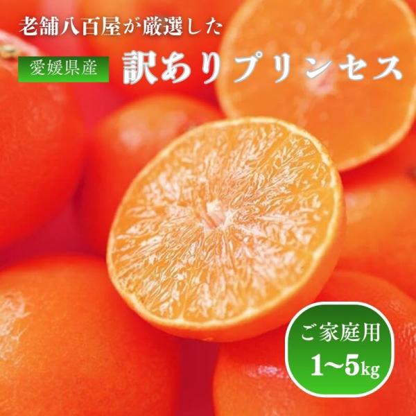 プリンセス 5kg ぷりんせす 訳あり 愛媛県産