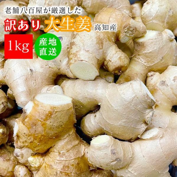 ・商品説明高知県は生姜の生産量全国NO1。その高知県で一般的に栽培されている生姜が「大生姜」。コブが大きく立派なのが最大の特徴。黄金生姜と異なり大生姜は、身が白く香りや辛みが少ないマイルドな味わい。三佐和がお送りする野菜で、お客様の普段の生...