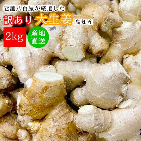 ・商品説明高知県は生姜の生産量全国NO1。その高知県で一般的に栽培されている生姜が「大生姜」。コブが大きく立派なのが最大の特徴。黄金生姜と異なり大生姜は、身が白く香りや辛みが少ないマイルドな味わい。三佐和がお送りする野菜で、お客様の普段の生...