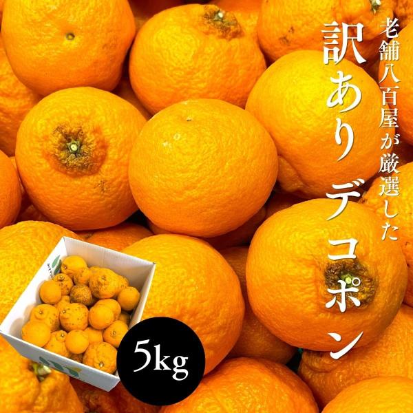 デコポン 訳あり 和歌山産 5kg 国産 でこぽん 不知火 しらぬい 柑橘 甘い 大玉 箱 みかん