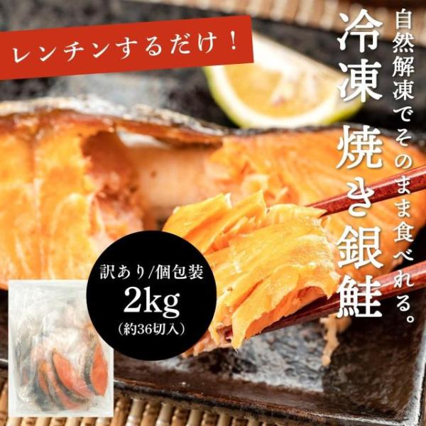 焼き鮭 レンチンするだけ 切り身 冷凍 鮭 加熱済み 2kg 約36切入 個包装 訳あり 銀鮭  切り落とし 塩鮭 家庭用