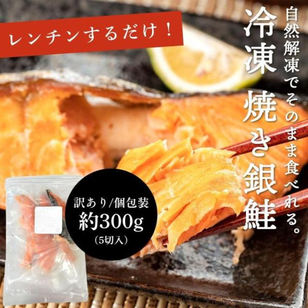 焼き鮭 レンチンするだけ 切り身 冷凍 鮭 加熱済み 約300g 5切入 個包装 訳あり 銀鮭  切り落とし 塩鮭 家庭用