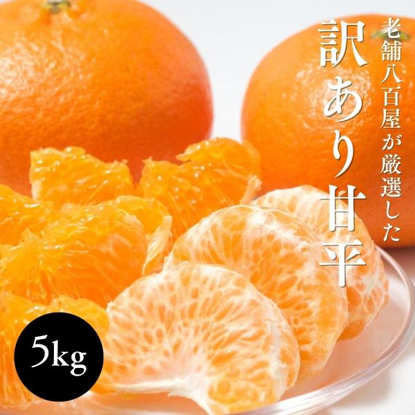 甘平 みかん かんぺい 愛媛県産 5kg ご家庭用 サイズ不揃い スレ 汚れ 黒点あり