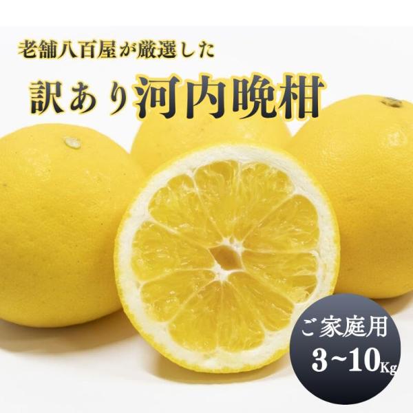 河内晩柑 訳あり 10kg かわちばんかん 晩柑 愛媛県産 ご家庭用 スレ 汚れ 黒点あり