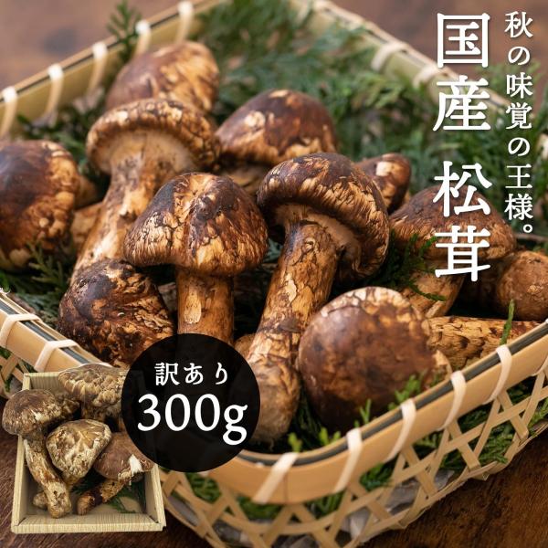 国産 松茸 訳あり 家庭用 300g 国産 長野県 他 マツタケ まつたけ