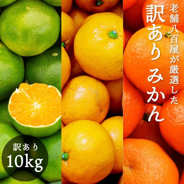 ・内容量10キロ・生産地和歌山県・賞味期限生鮮品のためお早めにお召し上がりください・保存方法風通しの良い涼しい日の当たらない場所や冷蔵庫の野菜室などに保存