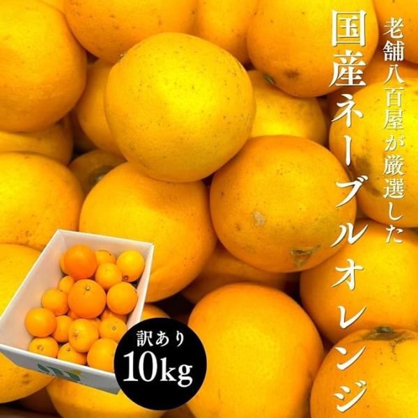 ・商品説明国産ネーブルはオレンジの輸入解禁以後、輸入ものに押され気味ですが、国産ネーブルも輸入ものにも引けをとることなく ネーブル特有のジューシーで甘味と酸味のバランスがよく、濃厚な食味を楽しむことができます。また国産ネーブルは防カビ剤など...