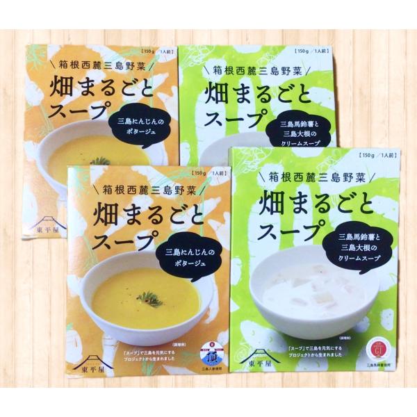 畑まるごと　三島野菜スープ
