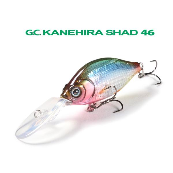 ｉｓｓｅｉ　Ｇ.Ｃ.カネヒラシャッド４６ＭＲ‐ＳＰ