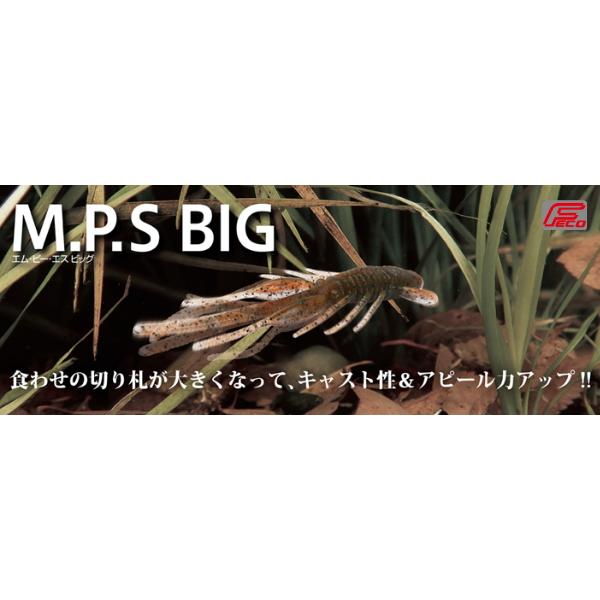 ボトムアップ　Ｍ.Ｐ.Ｓビッグ