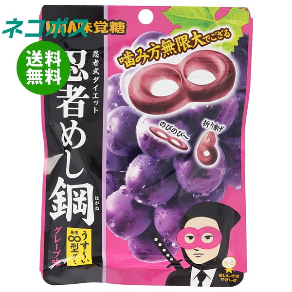 UHA味覚糖 ネコポス 忍者めし鋼 グレープ味 45g×10袋入｜ 全国送料無料