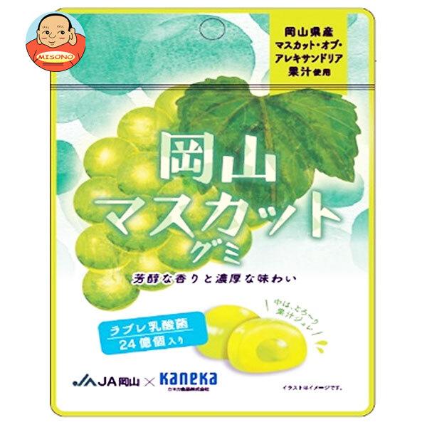 まとめ買いで送料がオトク！3ケースまでは、送料1個口（1梱包）の配送料金でお届けします。1袋あたりの商品価格100円（税別）お菓子 グミ 果汁 ジュレ ラブレ乳酸菌 ラブレ 乳酸菌 チャック付き 腸内環境 マスカット