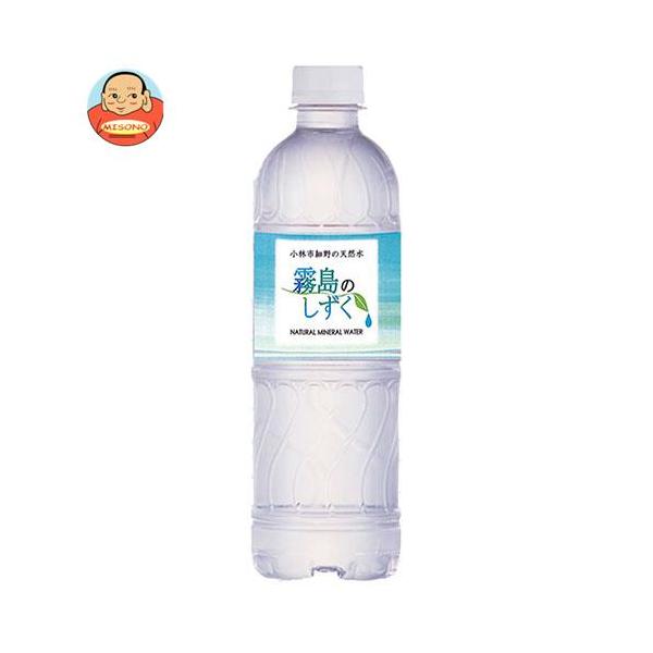 サントリー - 【新品未開封】飲むシリカ500ml×24本×2箱 24本×2箱】The Silicaシリカ天然水500ml（計48本）【早期発送
