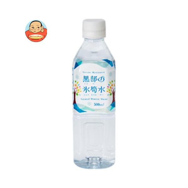 関電不動産開発 黒部の氷筍水 500mlペットボトル×24本入｜ 送料別