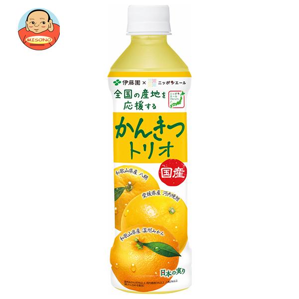伊藤園 ニッポンエール 国産かんきつトリオ 400gペットボトル×24本入