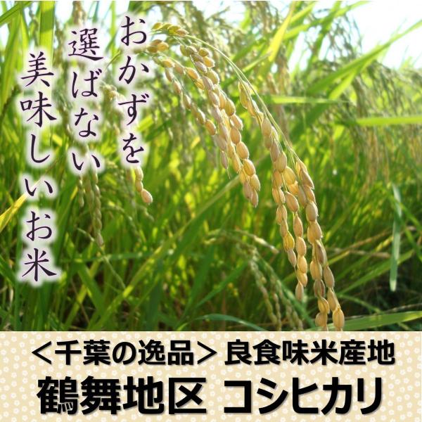 【数量限定】＜千葉の隠れた逸品＞鶴舞地区コシヒカリ 厳選した玄米30kgを精米して白米27kgでお届け 令和7年産 千葉県