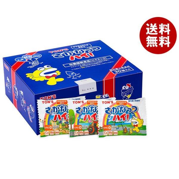 ※送料無料（北海道・沖縄・離島は送料無料対象外です。）
