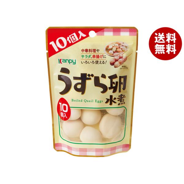 ※送料無料（北海道・沖縄・離島は送料無料対象外です。）