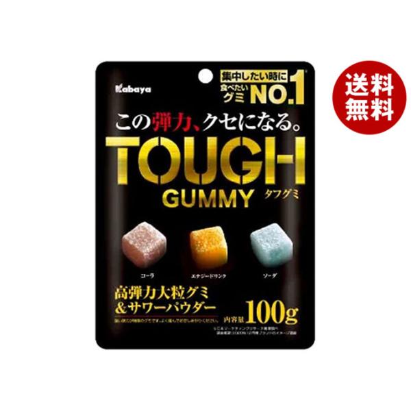 Kabaya タフグミ 100g 【150袋セット】 Kabaya カバヤ タフグミ 100g×6袋入×(2ケース)｜ 送料無料 : MISONOYA