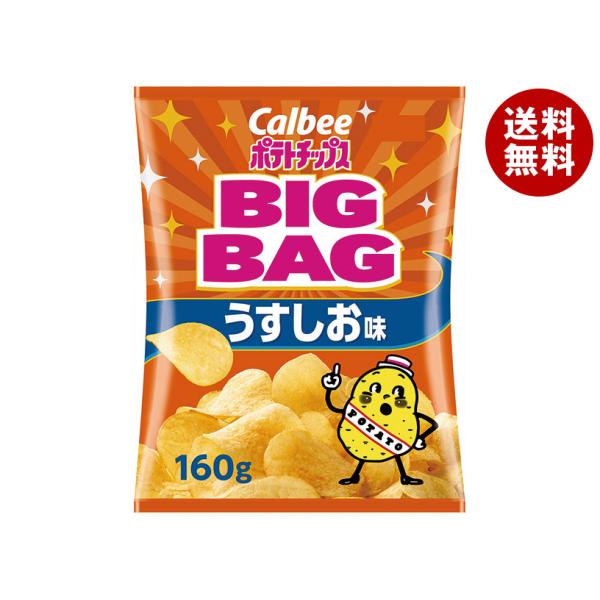 カルビー（Calbee） BIG BAG ポテトチップス うすしお味 160g×12袋入